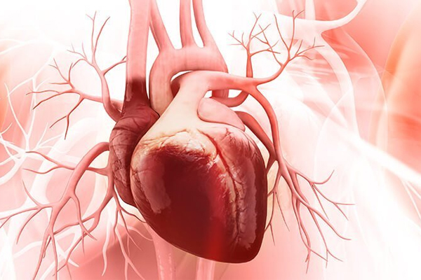 Congenital Heart Interventions
